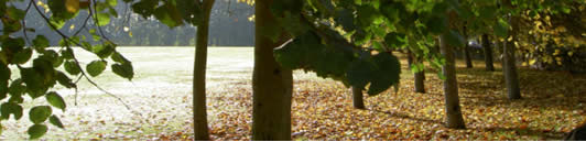 Autumn at The Duke's School